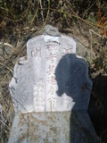 Tombstone of  (ZHAN1) family at Taiwan, Taizhongxian, Houlixiang, Houlicun, Zhenliaoli. The tombstone-ID is 28651; xWAxAZmAZA`dAmӸOC