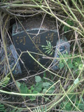 Tombstone of i (ZHANG1) family at Taiwan, Jiayixian, Xikouxiang, Lunweicun, east of village. The tombstone-ID is 29257; xWAŸqAˤfmA[AFAimӸOC