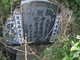 Tombstone of  (CHEN2) family at Taiwan, Jiayixian, Xikouxiang, Lunweicun, east of village. The tombstone-ID is 29265; xWAŸqAˤfmA[AFAmӸOC