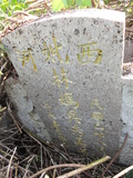 Tombstone of L (LIN2) family at Taiwan, Nantouxian, Jijizhen, Jijicun, north of village on the road to Zhongliao, Jijizhen 2nd public graveyard. The tombstone-ID is 31350; xWAn뿤AAAl_䩹dWAĤGӡALmӸOC