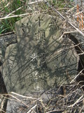 Tombstone of i (ZHANG1) family at Taiwan, Nantouxian, Zhushanzhen, Zhushan 1st public graveyard. The tombstone-ID is 29447; xWAn뿤AˤsAˤsĤ@ӡAimӸOC