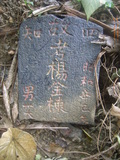 Tombstone of  (YANG2) family at Taiwan, Taibeishi, Daanqu, Daan 9th and Guting 10th public graveyard. The tombstone-ID is 28538; xWAx_AjwϡAjwϲĤEөMjFϲĤQӡAmӸOC