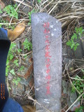 Tombstone of  (CHEN2) family at Taiwan, Taibeishi, Daanqu, Daan 9th and Guting 10th public graveyard. The tombstone-ID is 28549; xWAx_AjwϡAjwϲĤEөMjFϲĤQӡAmӸOC