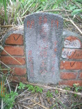 Tombstone of  (WANG2) family at Taiwan, Taibeishi, Daanqu, Daan 9th and Guting 10th public graveyard. The tombstone-ID is 28559; xWAx_AjwϡAjwϲĤEөMjFϲĤQӡAmӸOC