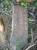 Tombstone of d (WU2) family at Taiwan, Taibeishi, Daanqu, Daan 9th and Guting 10th public graveyard. The tombstone-ID is 28564; xWAx_AjwϡAjwϲĤEөMjFϲĤQӡAdmӸOC