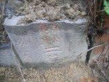 Tombstone of  (FANG4) family at Taiwan, Taibeishi, Daanqu, Daan 9th and Guting 10th public graveyard. The tombstone-ID is 28582; xWAx_AjwϡAjwϲĤEөMjFϲĤQӡAmӸOC