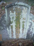 Tombstone of d (WU2) family at Taiwan, Taibeishi, Daanqu, Daan 9th and Guting 10th public graveyard. The tombstone-ID is 28588; xWAx_AjwϡAjwϲĤEөMjFϲĤQӡAdmӸOC