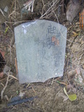 Tombstone of L (LIN2) family at Taiwan, Taibeishi, Daanqu, Daan 9th and Guting 10th public graveyard. The tombstone-ID is 28592; xWAx_AjwϡAjwϲĤEөMjFϲĤQӡALmӸOC