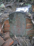 Tombstone of  (GAO1) family at Taiwan, Taibeishi, Daanqu, Daan 9th and Guting 10th public graveyard. The tombstone-ID is 28617; xWAx_AjwϡAjwϲĤEөMjFϲĤQӡAmӸOC