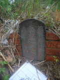 Tombstone of x (HONG2) family at Taiwan, Taibeishi, Daanqu, Daan 9th and Guting 10th public graveyard. The tombstone-ID is 28631; xWAx_AjwϡAjwϲĤEөMjFϲĤQӡAxmӸOC