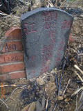 Tombstone of  (WANG2) family at Taiwan, Taibeishi, Daanqu, Daan 9th and Guting 10th public graveyard. The tombstone-ID is 28637; xWAx_AjwϡAjwϲĤEөMjFϲĤQӡAmӸOC
