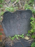Tombstone of  (LI3) family at Taiwan, Taibeishi, Daanqu, Daan 9th and Guting 10th public graveyard. The tombstone-ID is 28496; xWAx_AjwϡAjwϲĤEөMjFϲĤQӡAmӸOC