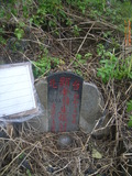 Tombstone of i (ZHANG1) family at Taiwan, Taibeishi, Daanqu, Daan 9th and Guting 10th public graveyard. The tombstone-ID is 28499; xWAx_AjwϡAjwϲĤEөMjFϲĤQӡAimӸOC