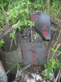 Tombstone of unnamed person at Taiwan, Taibeishi, Daanqu, Daan 9th and Guting 10th public graveyard. The tombstone-ID is 28505. ; xWAx_AjwϡAjwϲĤEөMjFϲĤQӡALW󤧹ӸO