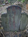 Tombstone of  (WANG2) family at Taiwan, Taibeishi, Daanqu, Daan 9th and Guting 10th public graveyard. The tombstone-ID is 28509; xWAx_AjwϡAjwϲĤEөMjFϲĤQӡAmӸOC