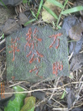Tombstone of  (CAI4) family at Taiwan, Taibeishi, Daanqu, Daan 9th and Guting 10th public graveyard. The tombstone-ID is 28511; xWAx_AjwϡAjwϲĤEөMjFϲĤQӡAmӸOC