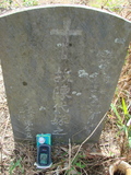 Tombstone of  (CHEN2) family at Taiwan, Jiayixian, Alishanxiang, Laiji, located between settling 1 and 2, not visible from the road. The tombstone-ID is 4293; xWAŸqAsmAӦNAbĤ@MĤGӧAqWOݤAmӸOC