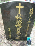 Tombstone of  (LIANG2) family at Taiwan, Jiayixian, Alishanxiang, Laiji, located between settling 1 and 2, not visible from the road. The tombstone-ID is 4298; xWAŸqAsmAӦNAbĤ@MĤGӧAqWOݤAmӸOC