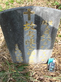 Tombstone of  (CHEN2) family at Taiwan, Jiayixian, Alishanxiang, Laiji, located between settling 1 and 2, not visible from the road. The tombstone-ID is 4311; xWAŸqAsmAӦNAbĤ@MĤGӧAqWOݤAmӸOC