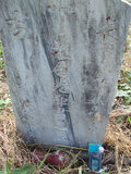 Tombstone of  (SHI2) family at Taiwan, Jiayixian, Alishanxiang, Laiji, located between settling 1 and 2, not visible from the road. The tombstone-ID is 4323; xWAŸqAsmAӦNAbĤ@MĤGӧAqWOݤA۩mӸOC