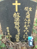 Tombstone of  (LIANG2) family at Taiwan, Jiayixian, Alishanxiang, Laiji, located between settling 1 and 2, not visible from the road. The tombstone-ID is 4368; xWAŸqAsmAӦNAbĤ@MĤGӧAqWOݤAmӸOC
