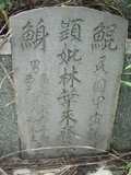 Tombstone of L (LIN2) family at Taiwan, Tainanshi, Nanqu, Xishu, highway 17 along the sea. The tombstone-ID is 695; xWAxnAnϡA߾Ax17خALmӸOC