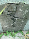 Tombstone of unnamed person at Taiwan, Tainanshi, Nanqu, Xishu, highway 17 along the sea. The tombstone-ID is 795. ; xWAxnAnϡA߾Ax17خALW󤧹ӸO