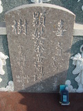 Tombstone of  (CAI4) family at Taiwan, Tainanshi, Nanqu, Xishu, highway 17 along the sea. The tombstone-ID is 5329; xWAxnAnϡA߾Ax17خAmӸOC