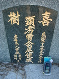 Tombstone of  (CAO2) family at Taiwan, Tainanshi, Nanqu, Xishu, highway 17 along the sea. The tombstone-ID is 5337; xWAxnAnϡA߾Ax17خAmӸOC