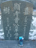 Tombstone of  (CAO2) family at Taiwan, Tainanshi, Nanqu, Xishu, highway 17 along the sea. The tombstone-ID is 5338; xWAxnAnϡA߾Ax17خAmӸOC