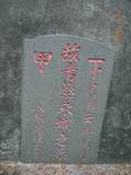 Tombstone of  (CAI4) family at Taiwan, Gaoxiongxian, Yonganxiang, Baoningcun, west of highway. The tombstone-ID is 6672; xWAAæwmAOAx17AmӸOC