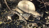 Tombstone of  (QIU1) family at Taiwan, Gaoxiongxian, Yonganxiang, Baoningcun, west of highway. The tombstone-ID is 5315; xWAAæwmAOAx17AmӸOC