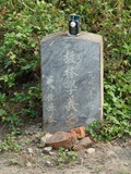 Tombstone of L (LIN2) family at Taiwan, Yunlinxian, Douliushi, old cemetery downtown. The tombstone-ID is 9502; xWALA椻AߥjӶALmӸOC