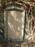 Tombstone of i (ZHANG1) family at Taiwan, Yunlinxian, Douliushi, old cemetery downtown. The tombstone-ID is 9508; xWALA椻AߥjӶAimӸOC