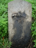 Tombstone of  (YANG2) family at Taiwan, Miaolishi, second public graveyard. The tombstone-ID is 7770; xWA]ߥAĤGӡAmӸOC