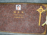 Tombstone of  (YANG2) family at Taiwan, Pingdongxian, Jiadongxiang, public graveyard west of Highway 1, intersection with Ping 131. The tombstone-ID is 8804; xWA̪FAΥVmAx1䪺ӡA131JfAmӸOC