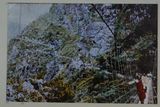 jDPQ(B4_PH076_033)