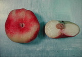 ǦW:Prunus persica( L.) Batsch Saturn