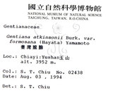 中文名:臺灣龍膽(S015346)學名:Gentiana davidii Franch. var. formosana (Hayata) T. N. Ho(S015346)