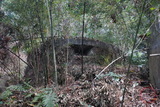 廢棄碉堡