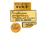 學名:Pristocera formosana Miwa et Sonan, 1935