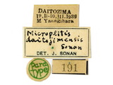 學名:Microplitis daitojimensis Sonan, 1940