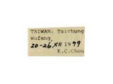 學名:Scenocharops flavipetiolus (Sonan, 1929)