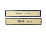 學名:Temelucha facilis (Cresson, 1872)