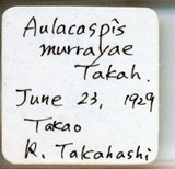 中文種名:月桔輪盾介殼蟲學名:Aulacaspis murrayae Takahashi, 1931