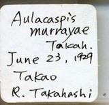 中文種名:月桔輪盾介殼蟲學名:Aulacaspis murrayae Takahashi, 1931