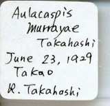 中文種名:月桔輪盾介殼蟲學名:Aulacaspis murrayae Takahashi, 1931