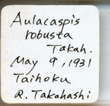 中文種名:樹杞輪盾介殼蟲學名:Aulacaspis robusta Takahashi, 1931