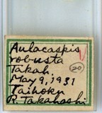 中文種名:樹杞輪盾介殼蟲學名:Aulacaspis robusta Takahashi, 1931