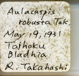 中文種名:樹杞輪盾介殼蟲學名:Aulacaspis robusta Takahashi, 1931